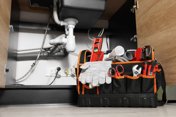 Best Clogged Drain Plumber  in Elbow Lake, MN