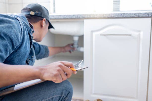 Best Plumbing Services Near Me  in Elbow Lake, MN