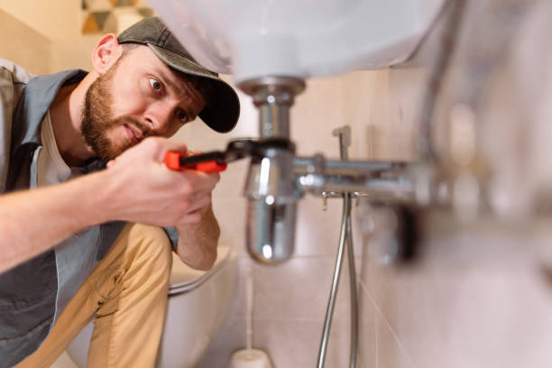 Best Plumbing Inspection Services  in Elbow Lake, MN