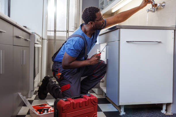 Best Emergency Plumber  in Elbow Lake, MN