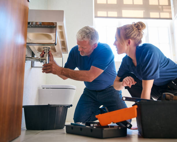 Best 24-Hour Plumber Near Me  in Elbow Lake, MN