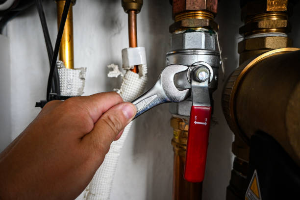 Best Local Plumber Services  in Elbow Lake, MN
